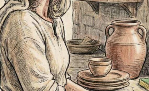 The Chosen Shade Book Cover