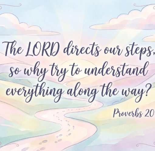 Proverbs 20:24
